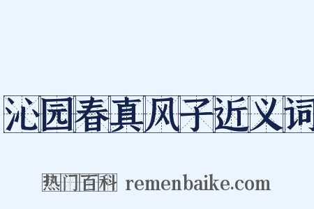 沁园春真风子近义词是什么意思的图片